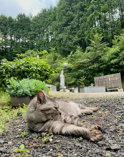 6月月例法風景.JPG